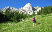 Monte Pegherolo - 11 luglio 2011 - FOTOGALLERY